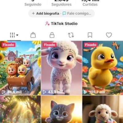 TIKTOK SHOP 2.6K - SHOP ATIVO - SEM DOC