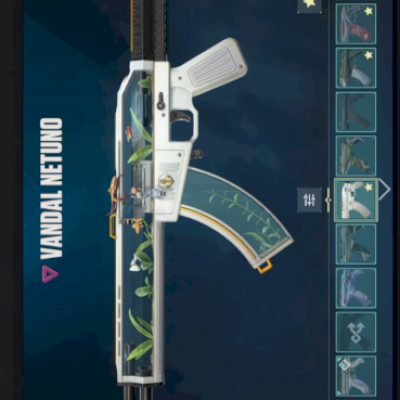 Conta de ótima procedência e único dono