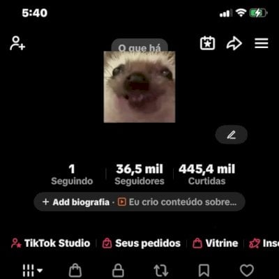 Conta 36K de seguidores com grande engajamento