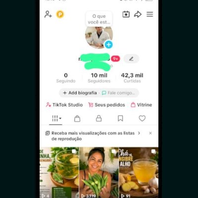 Vendo essa conta Tik Tok subindo seguidores 10k