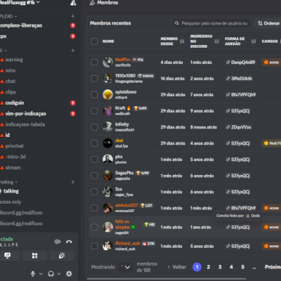 DISCORD COM 200 MEMBROS + CONFIGURADO COM BOT PAGO , + REAIS E ATIVOS