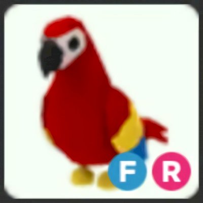 PARROT FR(PAPAGAIO FR) ADOPT ME!!