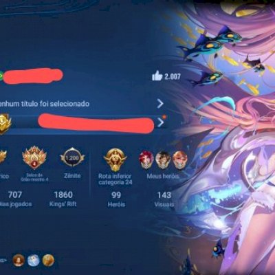 ÉPICO TODOS HEROES/143 SKINs MUDANÇA DE NOME