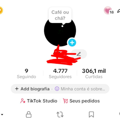 conta de tik tok com 4k e 700 de seguidor