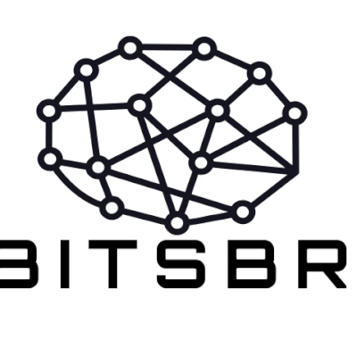 BITSBR 1000 UND - INTEGRADO A MINERAÇÃO LPoS (STAKE) DE CRIPTOMOEDAS