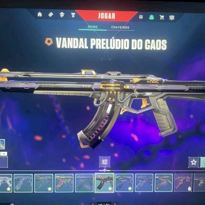 Conta valorant com diversas skins insanas!