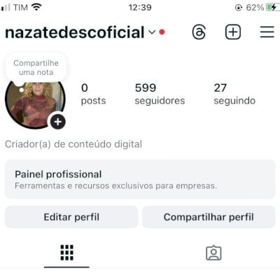 Perfil Insta