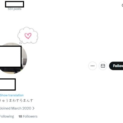 Twitter 2020 + Conta feminina + Foto de perfil e acesso ao email + Acesso total