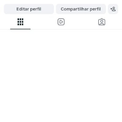 CONTA INSTAGRAM +330 SEGUIDORES REAIS BR
