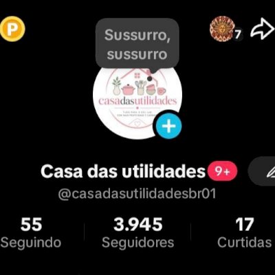 CONTA TIKTOK 3K SEGUIDORES BR 🇧🇷 PROMOVER+SITE+TROCAR NOME ✅ SEM LIVES/SHOP ❌