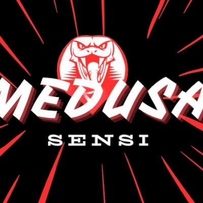 Pack de Sensi Detalhadas ATUALIZADA para emulador 2024