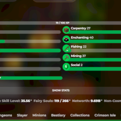 CONTA SKYBLOCK 9B NETWORTH (12B NO PROFILE) 700M DE PURSE SBLVL 176