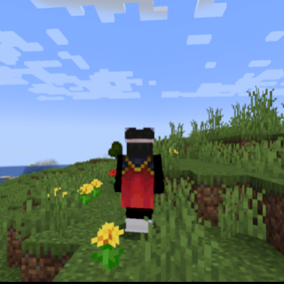 CONTA FULL ACESSO DE MINECRAFT, COM CAPA RAR