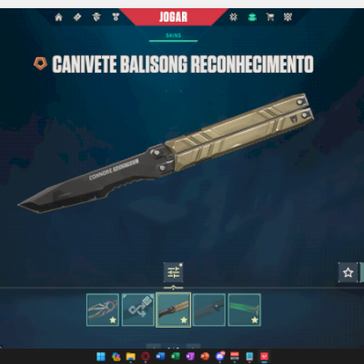 Conta Valorant Full Agentes, Vandal Champions 2023, 2 Passes, Pacote Floretérea+