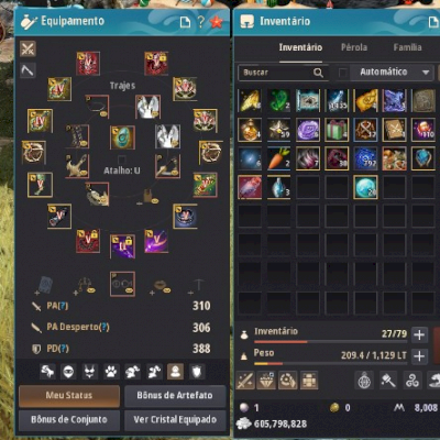 BDO SA lahn succ 310AP 388DP