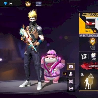 Conta gemada nível 73 com bandeirão e muito mais