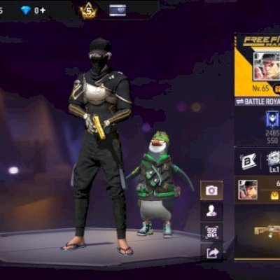 Conta antiga de Free fire no precinho