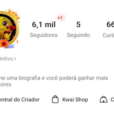 CONTA KWAI 6,1K SEGUIDORES E 663 DE CURTIDAS (CONTAS KWAI)
