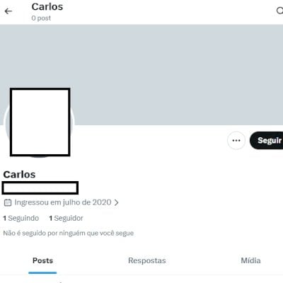 Twitter 2020 + Conta fem/masc + Foto de perfil e acesso ao email + Acesso total