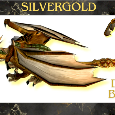 Montaria Draco Bronze Wow Retail - Todos Os Servidores