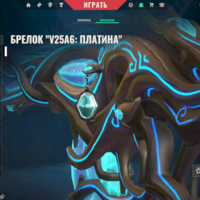CONTA VALORANT /PLATINA 1/LVL 60/PHANTOM GAIA/MERCADO NOTURNO /OLHA AS IMAGEM/