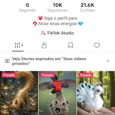 CONTA TIKTOK 🇧🇷 10K+ SEGUIDORES BR 🇧🇷 PROMOVER+SITE+LIVES+TROCAR NOME ✅