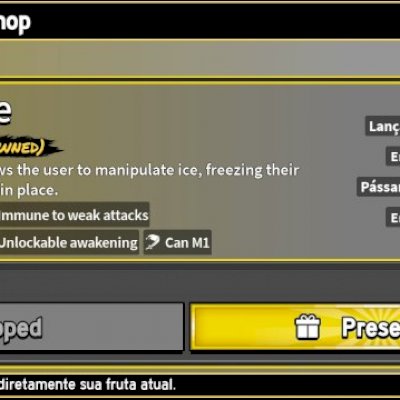 Conta do blox fruits level max