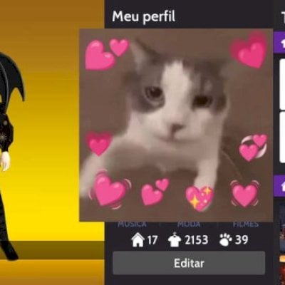 CONTA FEMININA DE AVK MUITO RICA! LVL 48