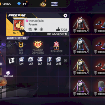 CONTA FF / NVL 67 / +400 PEITORAIS / SOMBRA ROXA / REI CAVEIRA E MUITO + INTENS