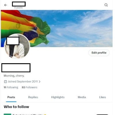 2010-2014 Conta do Twitter Antiga X + Tematica gay adulto +18