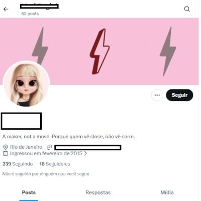 Twitter 2015 + seguidores + Conta feminina + Foto de perfil e acesso ao email