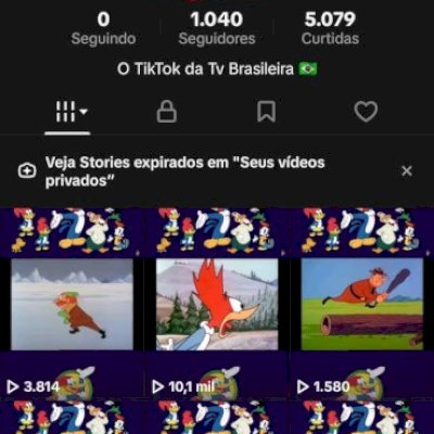 VENDO ESSA CONTA DE TIKTOK COM 1000 SEGUIDORES