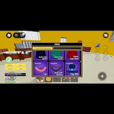 Vendo Conta de Blox Fruits 🔥 – 💎 Ótima Conta com Progressão Avançada! 🚀