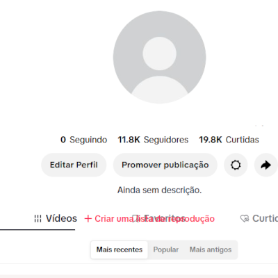 CONTA TIK TOK 12K SEG E 20K CURT (SHOP DAQ A 30 DIAS)(CONTAS TIK TOK) LEIA DESC