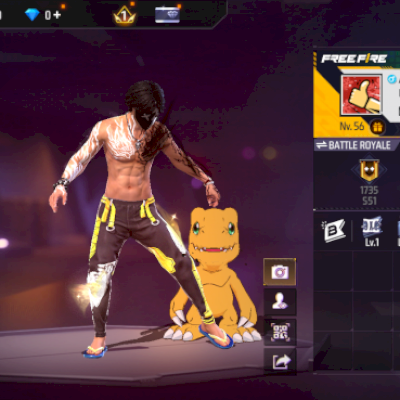 CONTA DE FF LEVEL 56