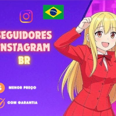 SEGUIDORES BRASILEIROS INSTAGRAM (MENOR PREÇO)