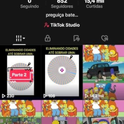 Conta TikTok com 652 seguidores, engajada!!!!