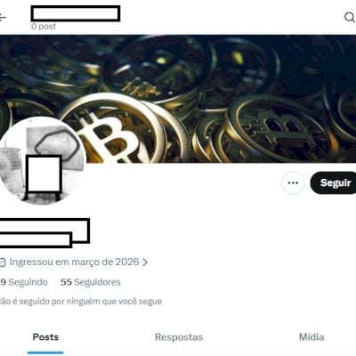 Conta X Twitter 2026 + Segura + Acesso email + Conta mulher + seguidores