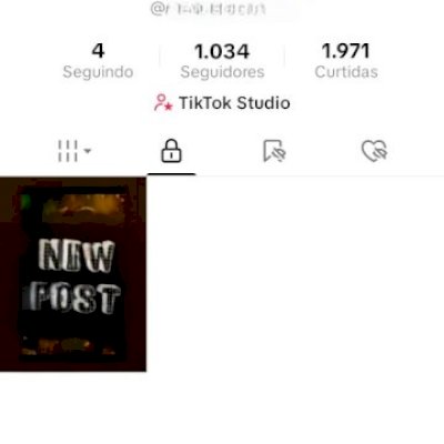 TikTok FR Premium - 1.1K Seguidores REAIS da França!