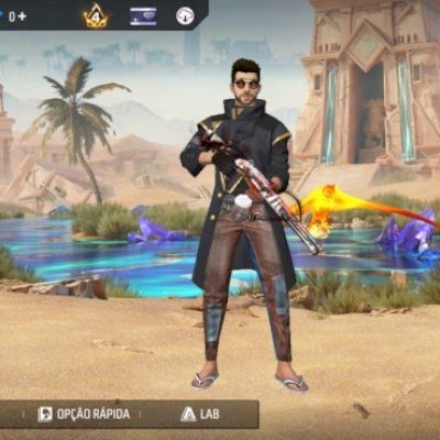 Conta de ff 160 peitorais , levei 59 , mestre, prime 4