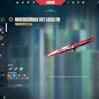 conta valorant - faca lockin - karambit vct 2024 - capote champions 2024 complet
