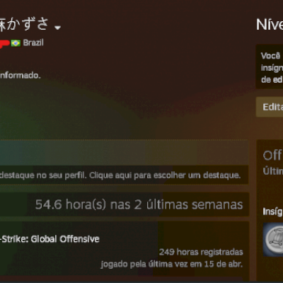 conta steam com alguns jogos nivel 15 com 4 anos de serviço +prime cs go{250H]