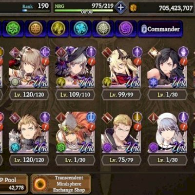 Final Fantasy - War of the visions [Royal rank 12]