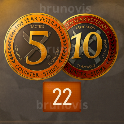 CONTA ANTIGA STEAM 22 ANOS + MEDALHAS CS2