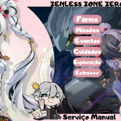 Zenless Zone Zero - Serviços