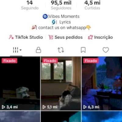 CONTA DO TIKTOK MONETIZADA +95K SEGUIDORES +4,5 MILHÕES CURTIDAS(R$ 36 DE SALDO)