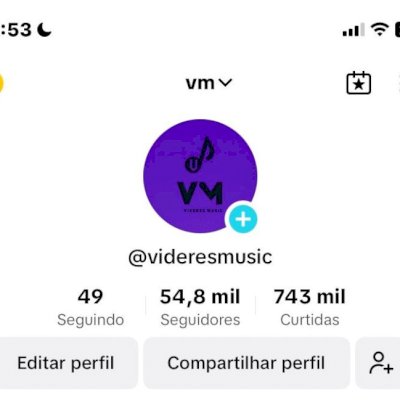 conta tik tok 55k seguidores 750k curtidas monetizada