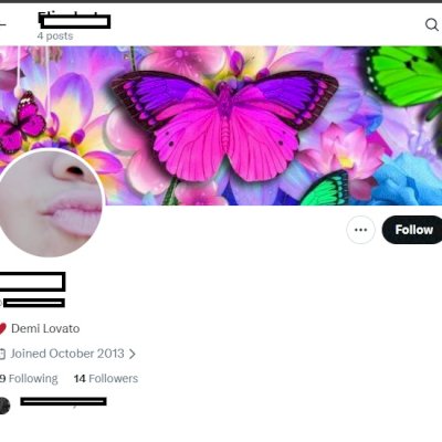 Conta X Twitter 2013 + Conta segura + Acesso ao email + Conta mulher