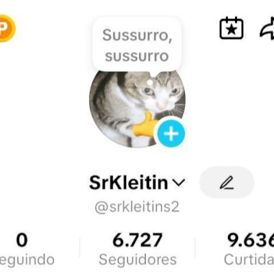 CONTA TIKTOK 6K SEGUIDORES BR 🇧🇷 SHOP+PROMOVER+SITE+LIVES+TROCAR NOME ✅