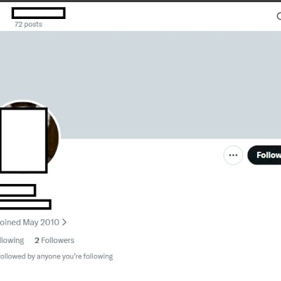 Twitter 2010 + Conta feminina + Foto de perfil e acesso ao email